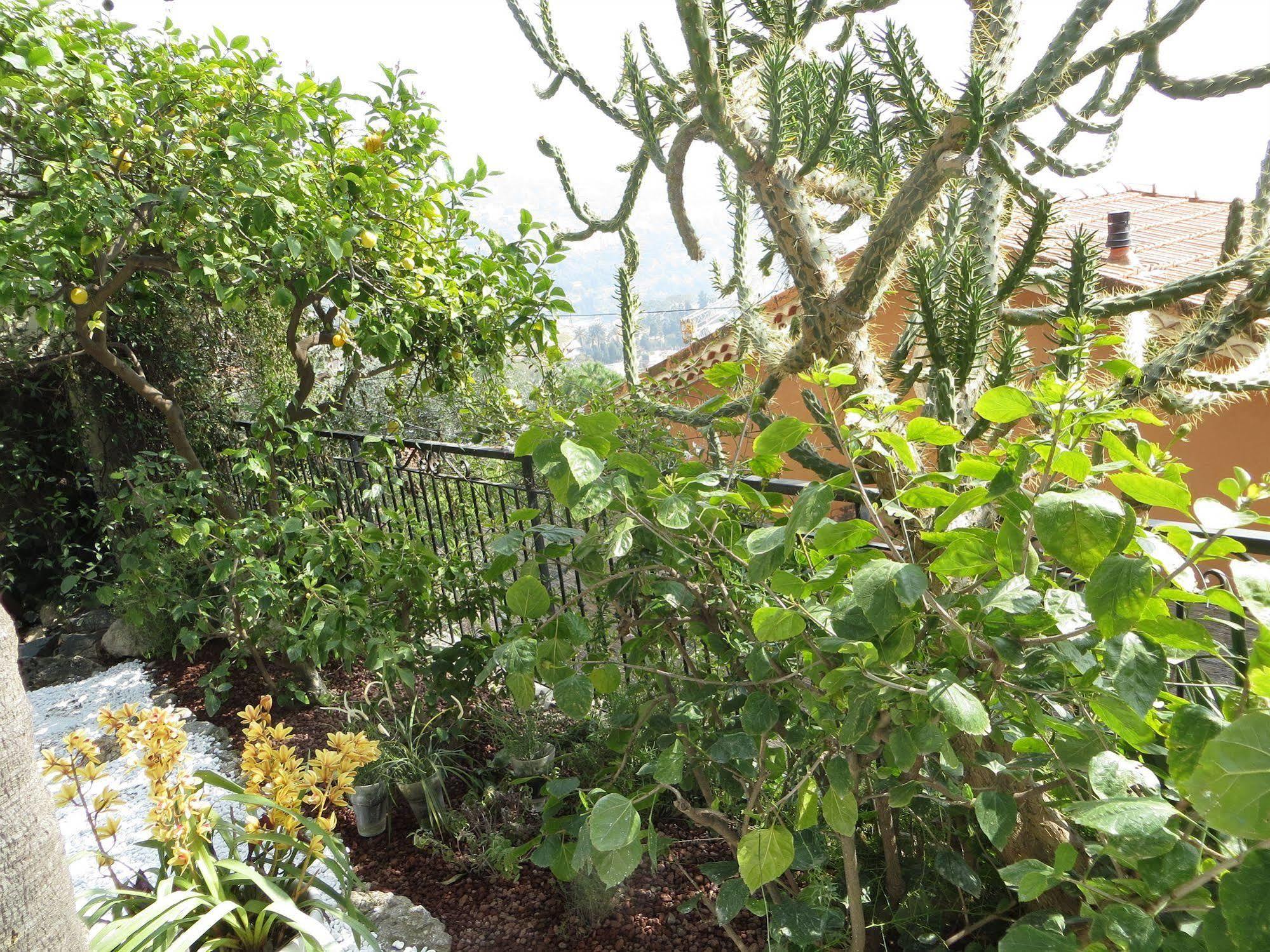 Hotel De Charme Regency Roquebrune-Cap-Martin Kültér fotó